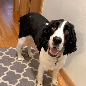 Meet your Posher, Kim